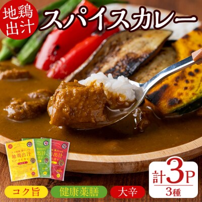 大分地鶏豊のしゃも地鶏出汁スパイスカレー3種セット180g×3【112400202】【天峯ファーム】