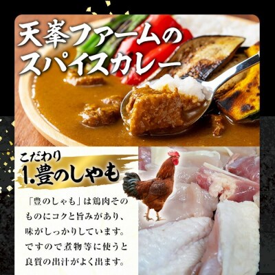 大分地鶏豊のしゃも地鶏出汁スパイスカレー3種セット180g×3【112400202】【天峯ファーム】