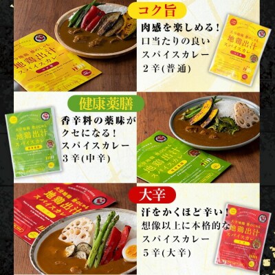 大分地鶏豊のしゃも地鶏出汁スパイスカレー3種セット180g×3【112400202】【天峯ファーム】