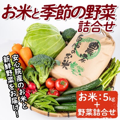産地直送!安心院のお米と季節の野菜詰合せ【103700102】【小の岩の庄】