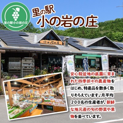 産地直送!安心院のお米と季節の野菜詰合せ【103700102】【小の岩の庄】
