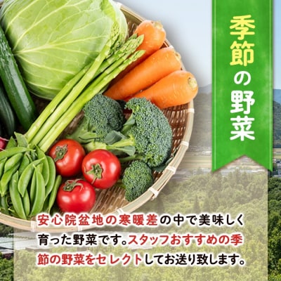 産地直送!安心院のお米と季節の野菜詰合せ【103700101】【小の岩の庄】