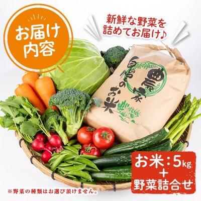 産地直送!安心院のお米と季節の野菜詰合せ【103700102】【小の岩の庄】