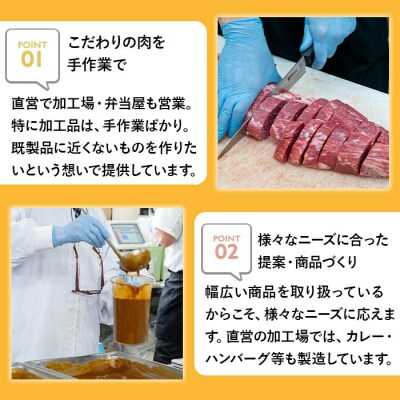 肉屋のまかない豊後牛カレー(計2.3kg・230g×10P)【110200201】【吉野】