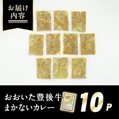肉屋のまかない豊後牛カレー(計2.3kg・230g×10P)【110200201】【吉野】