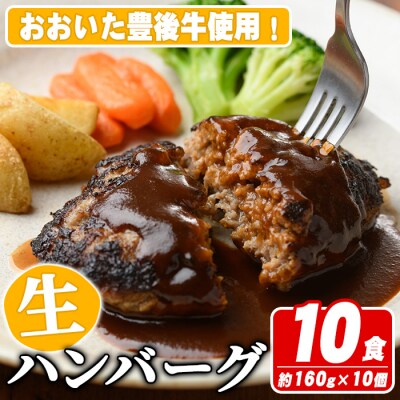 おおいた豊後牛生ハンバーグ(計1.6kg・160g×10個)【110200301】【吉野】