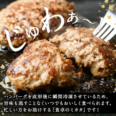 おおいた豊後牛生ハンバーグ(計1.6kg・160g×10個)【110200301】【吉野】