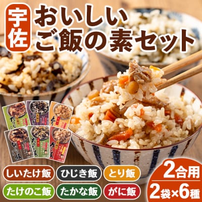 宇佐おいしいご飯の素セット(6種×各2袋)【102200201】【観光館　文福】