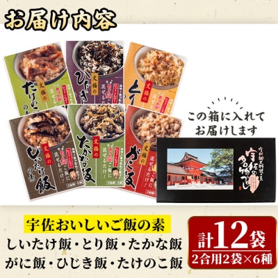宇佐おいしいご飯の素セット(6種×各2袋)【102200201】【観光館　文福】