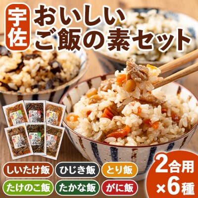 宇佐おいしいご飯の素セット(6種)【102200101】【観光館　文福】