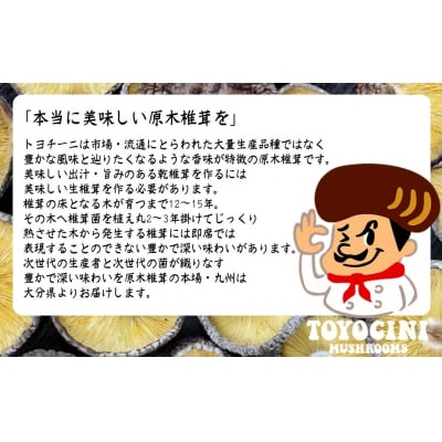乾椎茸 トヨチーニ・中サイズ(80g)【110300201】【松重　拓志】