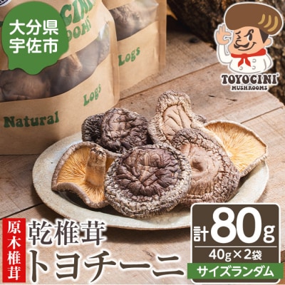 乾椎茸 トヨチーニ・サイズランダム(計80g・40g×2袋)【110300401】【松重　拓志】