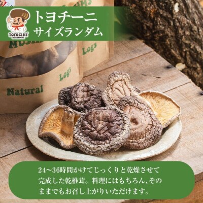 乾椎茸 トヨチーニ・サイズランダム(計80g・40g×2袋)【110300401】【松重　拓志】