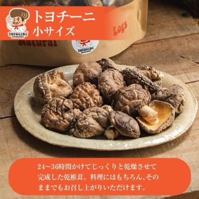 乾椎茸 トヨチーニ・小サイズ(80g)【110300101】【松重　拓志】