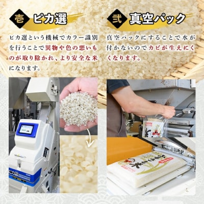 大分県産ひのひかり 胚芽ビタミン米(3kg×2パック)【107800202】【お米の鈴木】