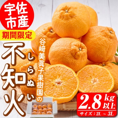 しらぬい 2.8kg 【113300300】【谷崎美眞子果樹園】