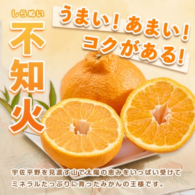 しらぬい 2.8kg 【113300300】【谷崎美眞子果樹園】