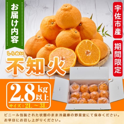 しらぬい 2.8kg 【113300300】【谷崎美眞子果樹園】