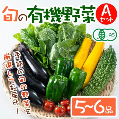 旬の有機野菜セットA(5～6品)【114500101】【さとう有機農園】