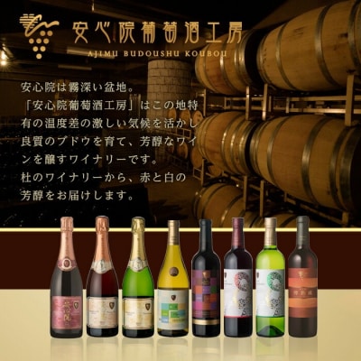 安心院スパークリングワイン 極果(熟成白) (750ml)【107305200】【時枝酒店】