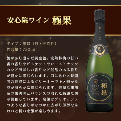 安心院スパークリングワイン 極果(熟成白) (750ml)【107305200】【時枝酒店】