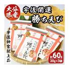 宇佐 開運 勝ちえび セット(計60g・20g×3袋) 【101900400】【上野水産】