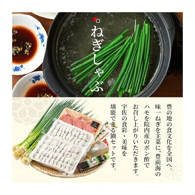 ねぎしゃぶ(鱧はも)+ヒレステーキ(6品)【101500601】【菊水旅館】
