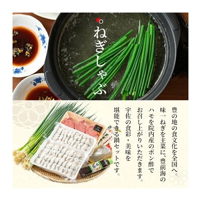 ねぎしゃぶ(鱧はも)+ヒレステーキ(6品)【101500602】【菊水旅館】