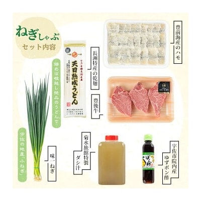 ねぎしゃぶ(鱧はも)+ヒレステーキ(6品)【101500601】【菊水旅館】