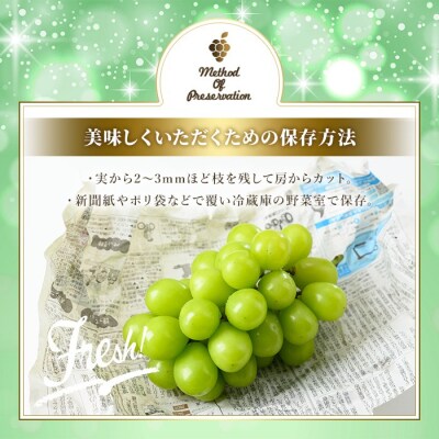 <2026年発送>シャインマスカット 500g【106300800】【大分県農協北部エリア】