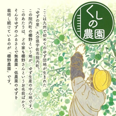 宇佐の柚子サイダーセット(200ml×10本)【100600301】【櫛野農園】