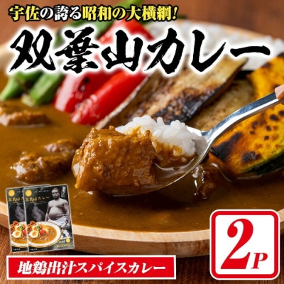 双葉山カレー(計360g・180g×2P)【115601101】【SFPコンサルティング】