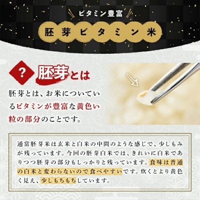 大分県産ひのひかり 胚芽ビタミン米(1kg×4パック)【107800302】【お米の鈴木】