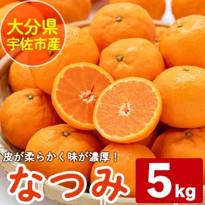 なつみ 約5kg ハウス 樹成完熟みかん【111600200】【永木農園】
