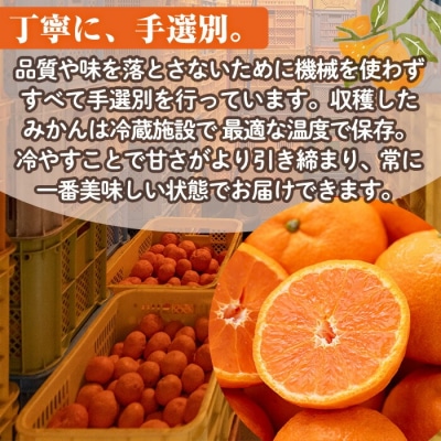 なつみ 約5kg ハウス 樹成完熟みかん【111600200】【永木農園】