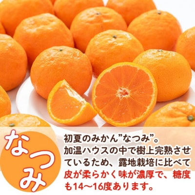 なつみ 約5kg ハウス 樹成完熟みかん【111600200】【永木農園】