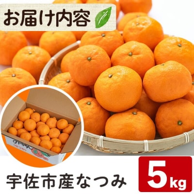 なつみ 約5kg ハウス 樹成完熟みかん【111600200】【永木農園】