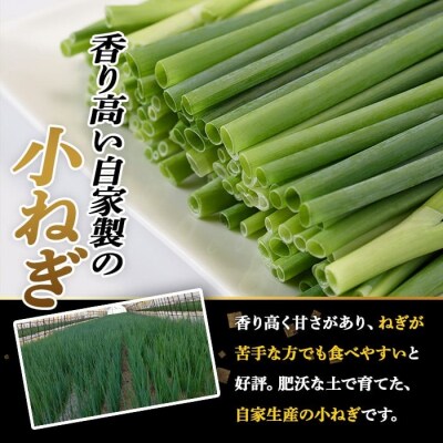 ねぎ味噌 (グリーン×3個)ねぎねぎ団 調味料【110700101】【葱屋おおくぼ】