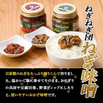 ねぎ味噌 (グリーン×3個)ねぎねぎ団 調味料【110700100】【葱屋おおくぼ】