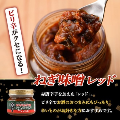 ねぎ味噌 (レッド×3個)ねぎねぎ団 調味料【110700400】【葱屋おおくぼ】
