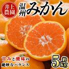 温州みかん 5kg 11月中旬発送【103610200】【井上農園】