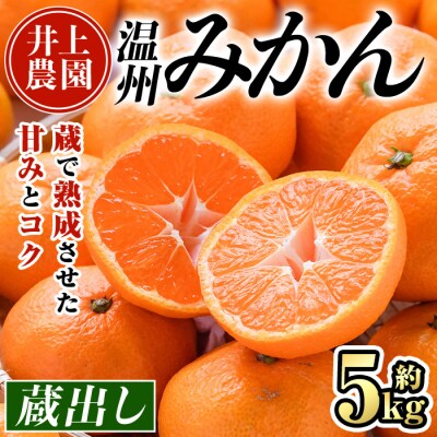 蔵出しみかん 5kg 1月中旬発送【103640100】【井上農園】