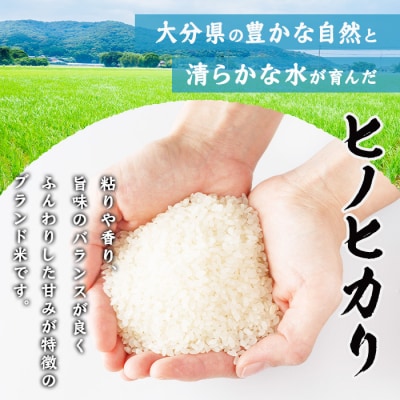 大分県宇佐市産 ヒノヒカリ 10kg 令和7年産【117800201】【ジョイライス大分】