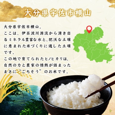 大分県宇佐市産 ヒノヒカリ 10kg 令和7年産【117800201】【ジョイライス大分】