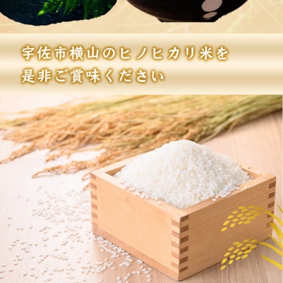 大分県宇佐市産 ヒノヒカリ 10kg 令和7年産【117800201】【ジョイライス大分】