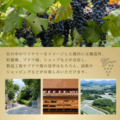 安心院スパークリングワイン 750ml 赤 1本【107306800】【時枝酒店】