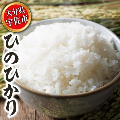 宇佐市産ひのひかり　5kg【119000401】【カネガエ】