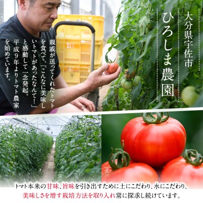 旬のフルーツトマト 2kg【110000201】【ひろしま農園】