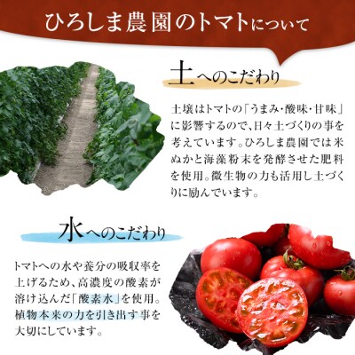 旬のフルーツトマト 2kg【110000201】【ひろしま農園】