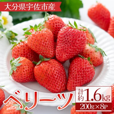 ベリーツ いちご 1.6kg【117900200】【Farm U.S.A.】